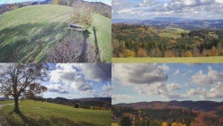 Sdružený snímek Bludný