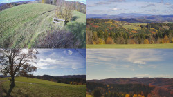 Sdružený snímek Bludný