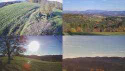 Sdružený snímek Bludný