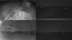 Sdružený snímek Bludný