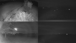 Sdružený snímek Bludný