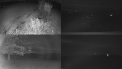 Sdružený snímek Bludný