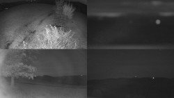 Sdružený snímek Bludný