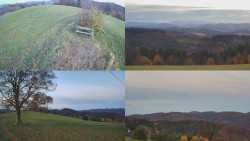 Sdružený snímek Bludný