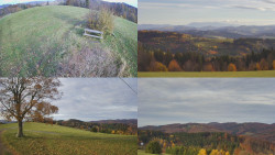 Sdružený snímek Bludný