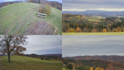 Sdružený snímek Bludný