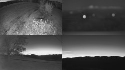 Sdružený snímek Bludný