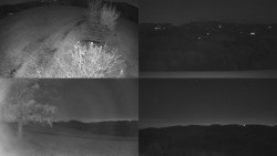 Sdružený snímek Bludný