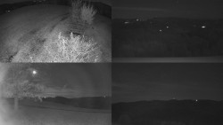 Sdružený snímek Bludný