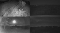 Sdružený snímek Bludný