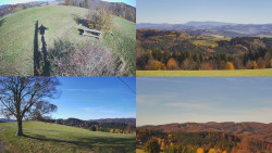 Sdružený snímek Bludný