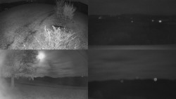 Sdružený snímek Bludný