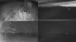 Sdružený snímek Bludný