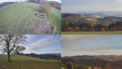 Sdružený snímek Bludný