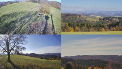 Sdružený snímek Bludný