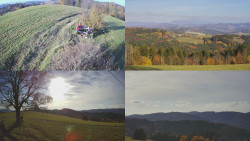 Sdružený snímek Bludný