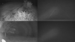 Sdružený snímek Bludný