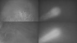 Sdružený snímek Bludný