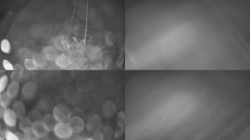 Snímek    3.11.2025 v 03:01