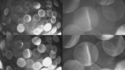 Sdružený snímek Bludný