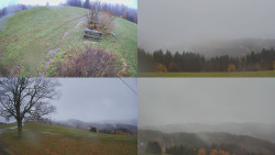 Sdružený snímek Bludný