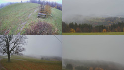 Sdružený snímek Bludný