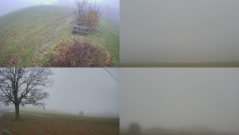 Snímek    3.11.2025 v 10:31