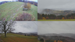 Sdružený snímek Bludný