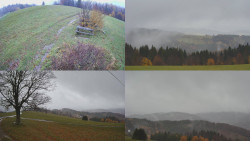 Sdružený snímek Bludný