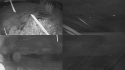 Sdružený snímek Bludný