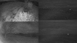 Sdružený snímek Bludný