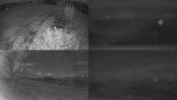 Sdružený snímek Bludný