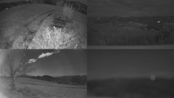 Sdružený snímek Bludný