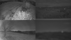 Sdružený snímek Bludný