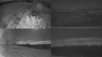 Snímek    4.11.2025 v 01:31