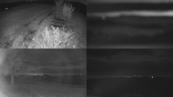 Sdružený snímek Bludný