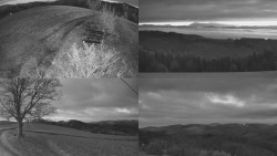 Sdružený snímek Bludný