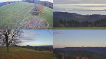 Snímek    4.11.2025 v 07:31