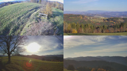 Sdružený snímek Bludný