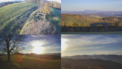 Sdružený snímek Bludný