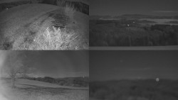 Sdružený snímek Bludný