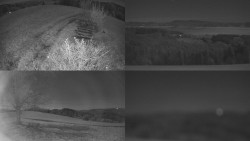 Sdružený snímek Bludný