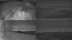 Sdružený snímek Bludný