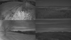 Sdružený snímek Bludný