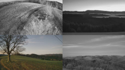 Sdružený snímek Bludný