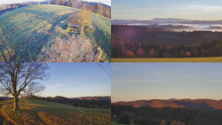 Sdružený snímek Bludný