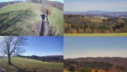 Sdružený snímek Bludný