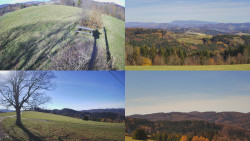 Sdružený snímek Bludný