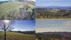 Sdružený snímek Bludný