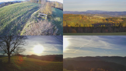 Sdružený snímek Bludný